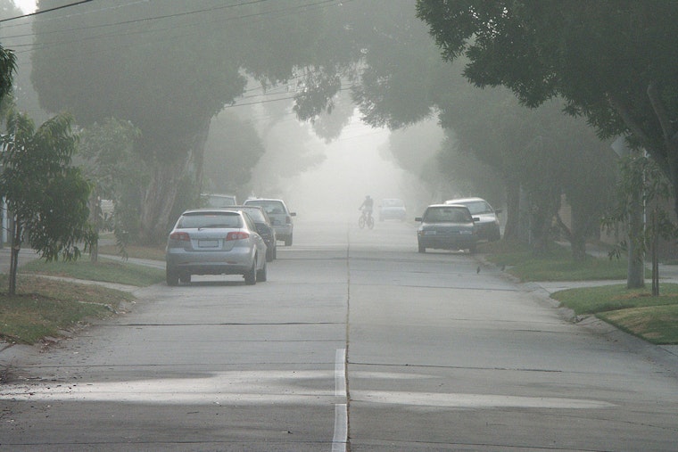 Austin Braces for Wet and Warm Week: From Foggy Mornings to Thunderstorm Chances, Weather Service Reports