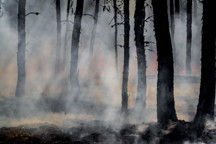 Authorities Suspect Arson Behind Floyd County GA Wildfires as Individual Undergoes Mental Health Evaluation