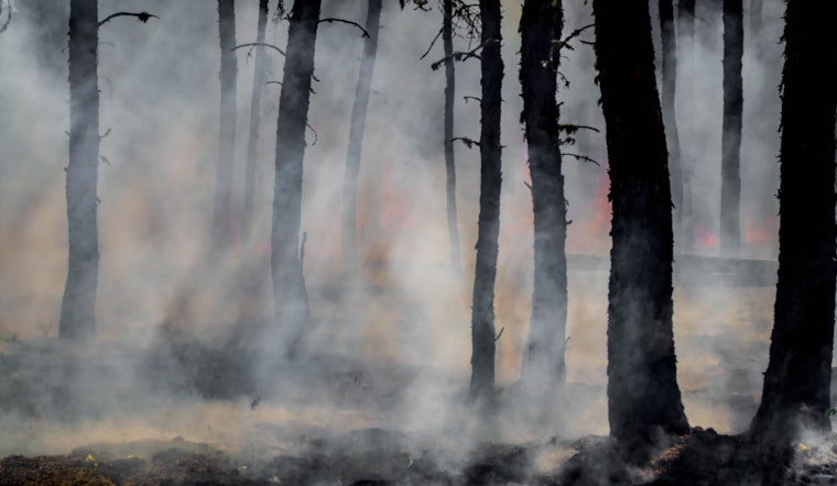 Authorities Suspect Arson Behind Floyd County GA Wildfires as Individual Undergoes Mental Health Evaluation