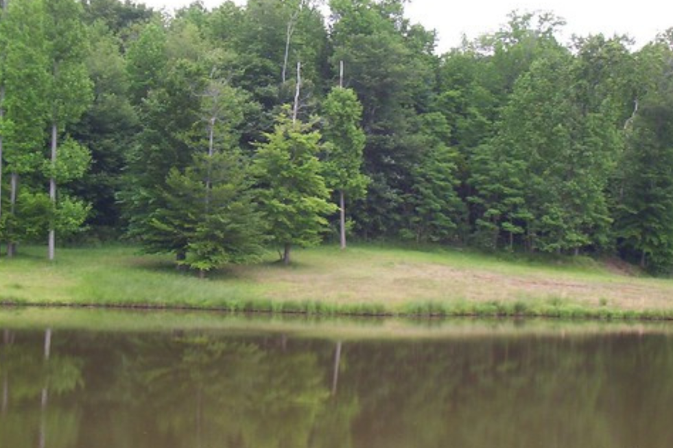 Baltimore City Parks to Get $15.3 Million Boost for Upgrades and Land Conservation Efforts