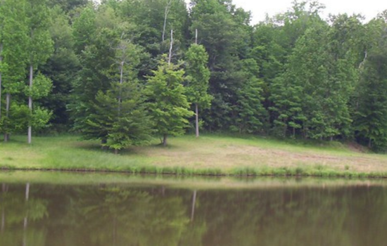 Baltimore City Parks to Get $15.3 Million Boost for Upgrades and Land Conservation Efforts