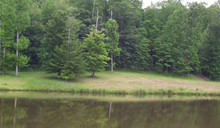 Baltimore City Parks to Get $15.3 Million Boost for Upgrades and Land Conservation Efforts