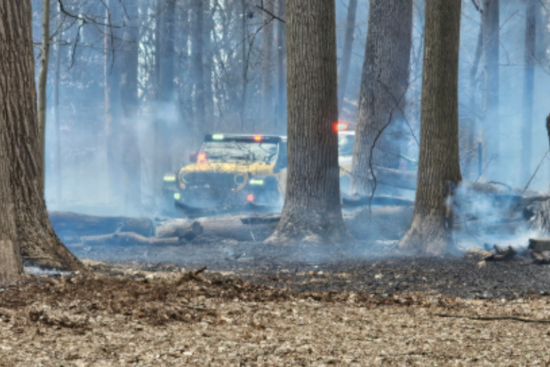 Baltimore County Firefighters Quell 6-Acre Brush Fire in Hunt Valley, Maryland Route 45 Reopens After Hours-Long Closure