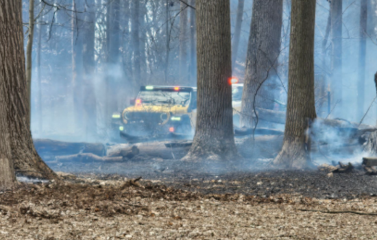 Baltimore County Firefighters Quell 6-Acre Brush Fire in Hunt Valley, Maryland Route 45 Reopens After Hours-Long Closure