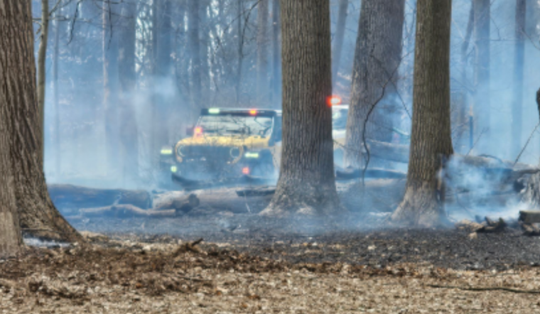 Baltimore County Firefighters Quell 6-Acre Brush Fire in Hunt Valley,