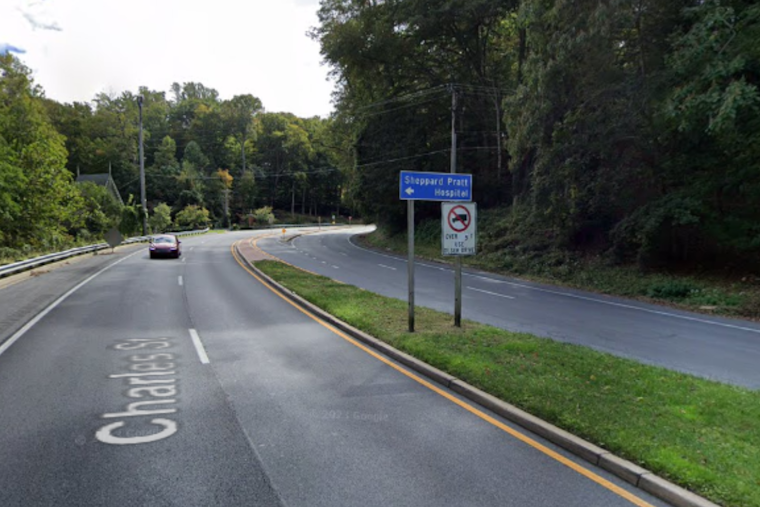 Baltimore County Firefighters Swiftly Extinguish Brush Fire Near Charles Street, No Injuries Reported