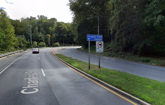 Baltimore County Firefighters Swiftly Extinguish Brush Fire Near Charles Street, No Injuries Reported