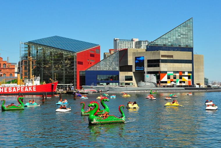Baltimore's Population Rises for First Time in a Decade Reflecting Urban Revival