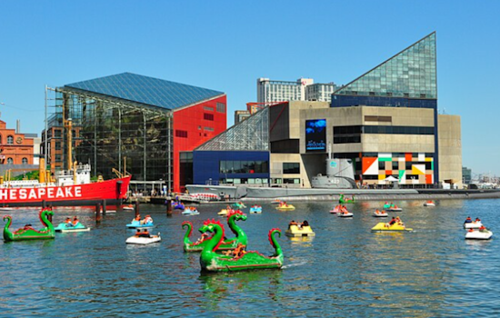 Baltimore's Population Rises for First Time in a Decade Reflecting Urban Revival