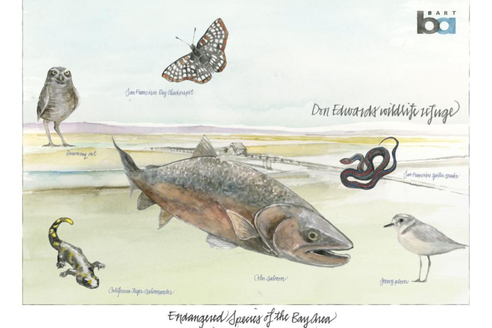 BART's Poster Art Program Brings Obi Kaufmann's Watercolor Wildlife to Commuters in the Bay Area