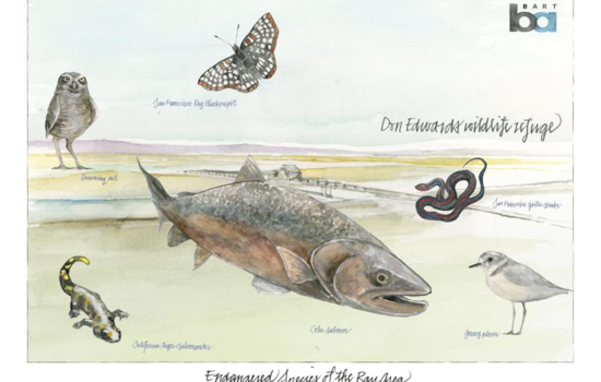 BART's Poster Art Program Brings Obi Kaufmann's Watercolor Wildlife to Commuters in the Bay Area