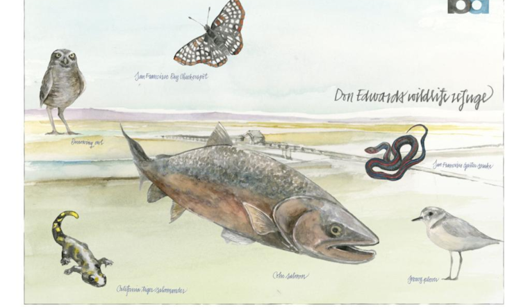 BART's Poster Art Program Brings Obi Kaufmann's Watercolor Wildlife to Commuters in the Bay Area