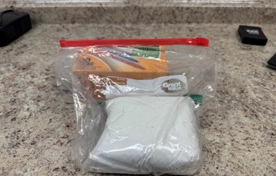Bastrop County Deputies Seize Over $75,000 in Fentanyl on SH-71, Brother-Sister Duo Charged
