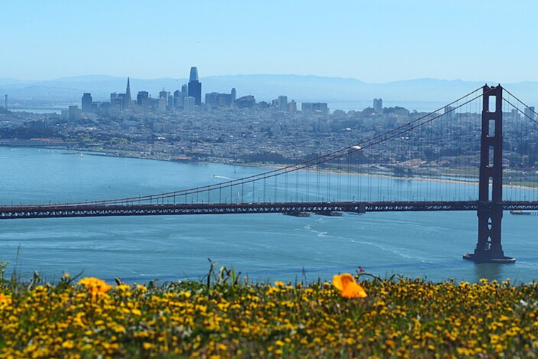 Bay Area Hit by Frost Advisory Amid Freezing Temperatures, NWS San Francisco Urges Precaution