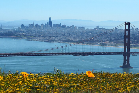 Bay Area Hit by Frost Advisory Amid Freezing Temperatures, NWS San Francisco Urges Precaution
