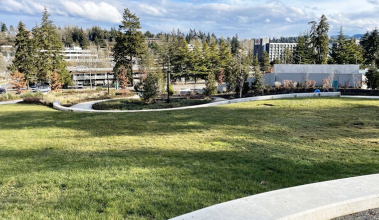 Bellevue City Council Extends Safe Parking Program to 2026, Seeks Public Input for Naming New City Park