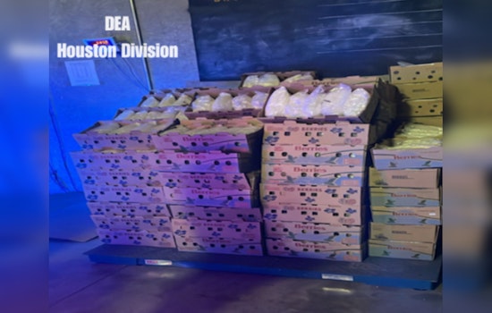 Border Blitz, Texas Agents Bust $20M in Meth Disguised as Bottled Water in Roma, Following $5M Blueberry Sting in Pharr