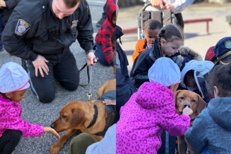 Boston Police Department's Comfort Dog Copper Brightens Haynes Early Education Center in Roxbury