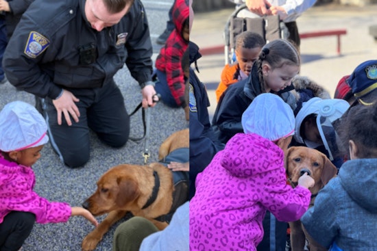Boston Police Department's Comfort Dog Copper Brightens Haynes Early Education Center in Roxbury