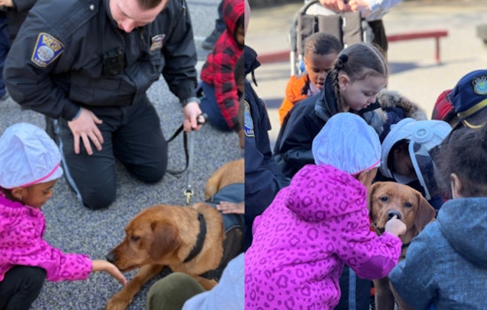 Boston Police Department's Comfort Dog Copper Brightens Haynes Early Education Center in Roxbury