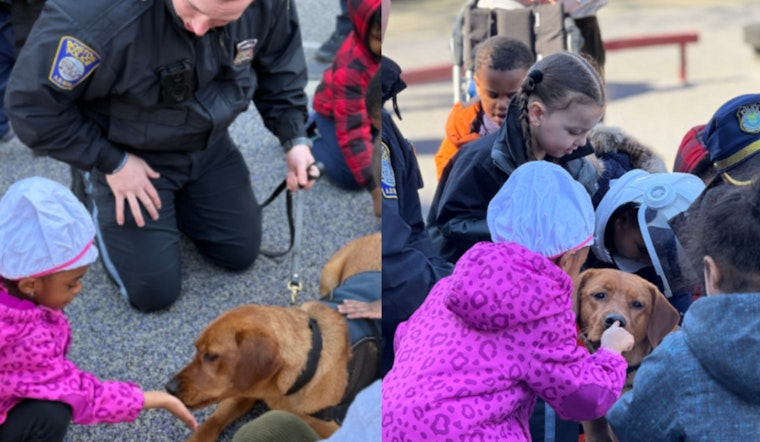 Boston Police Department's Comfort Dog Copper Brightens Haynes Early Education Center in Roxbury