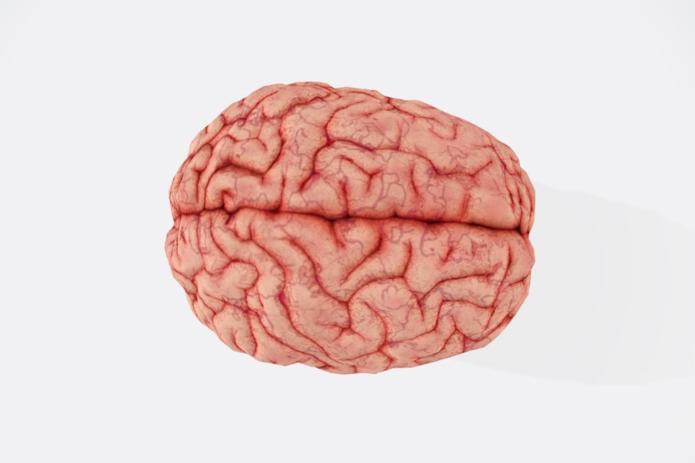 Brain Boost Breakthrough, MIT Study Sparks Hope with 40Hz Gamma Waves in Alzheimer's Battle