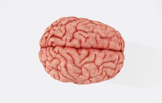 Brain Boost Breakthrough, MIT Study Sparks Hope with 40Hz Gamma Waves in Alzheimer's Battle