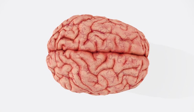 Brain Boost Breakthrough, MIT Study Sparks Hope with 40Hz Gamma Waves in Alzheimer's Battle
