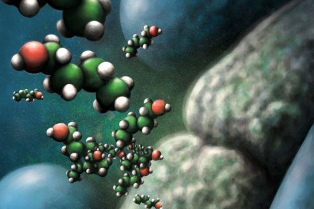 Breakthrough Research by ORNL and University of Cincinnati Potential Key to Efficient Biofuel Production
