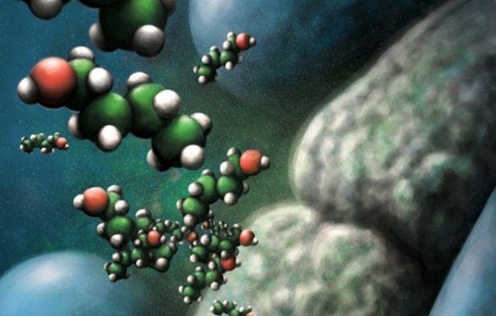 Breakthrough Research by ORNL and University of Cincinnati Potential Key to Efficient Biofuel Production