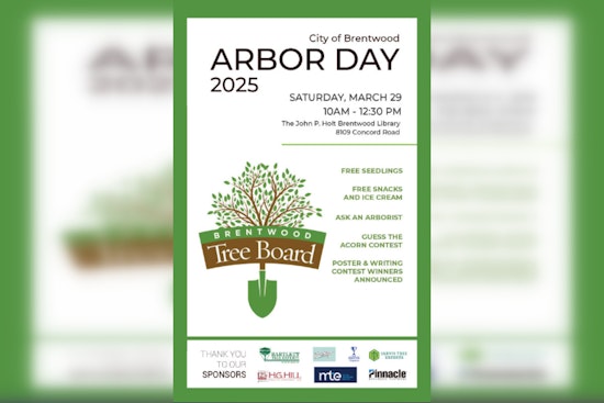 Brentwood Honored as Tree City USA for 36th Year, Celebrates with Arbor Day Event