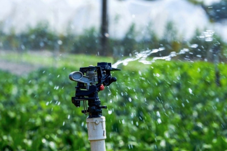 Brentwood Water Services Proposes Voluntary Address-Based Irrigation Plan to Ease Summer Water Demand