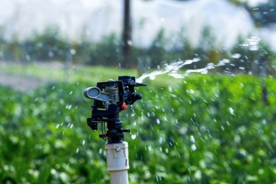 Brentwood Water Services Proposes Voluntary Address-Based Irrigation Plan to Ease Summer Water Demand