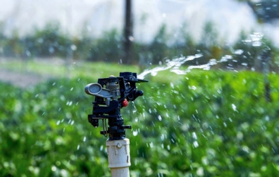 Brentwood Water Services Proposes Voluntary Address-Based Irrigation Plan to Ease Summer Water Demand