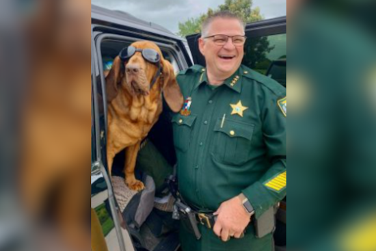 Brevard County Sheriff's Office Mourns the Loss of Beloved K-9 Junny After Courageous Cancer Battle