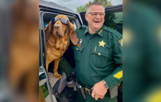Brevard County Sheriff's Office Mourns the Loss of Beloved K-9 Junny After Courageous Cancer Battle