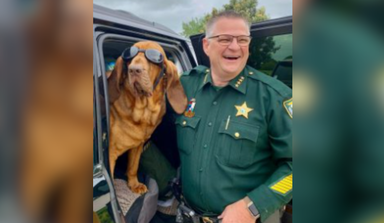 Brevard County Sheriff's Office Mourns the Loss of Beloved K-9 Junny After Courageous Cancer Battle