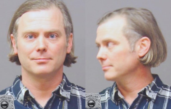Brookline Vandal Accused of Sticking Elon Musk Likeness on Teslas Arrested, Faces Defacement Charges