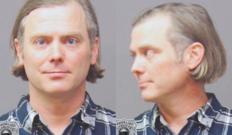 Brookline Vandal Accused of Sticking Elon Musk Likeness on Teslas Arrested, Faces Defacement Charges
