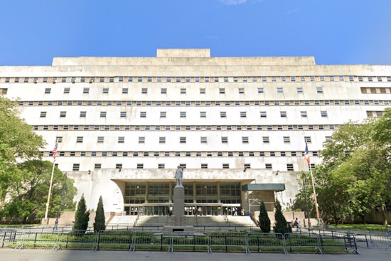 Brooklyn Man Sentenced to 10 Years for Shooting Rival at West Indian Day Parade