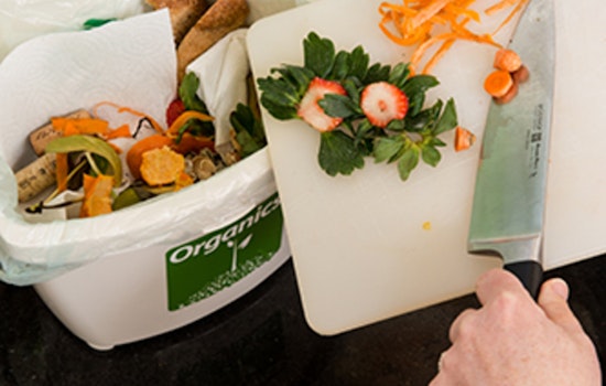 Brooklyn Park to Launch Curbside Organics Recycling Starting March 31