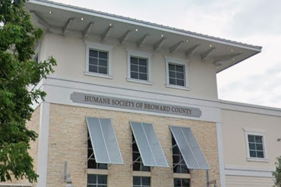 Broward County Humane Society Issues Scam Alert for Pet Owners Amidst Spate of Fraudulent Claims