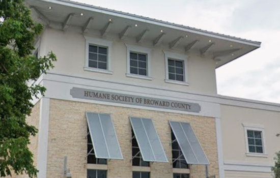 Broward County Humane Society Issues Scam Alert for Pet Owners Amidst Spate of Fraudulent Claims