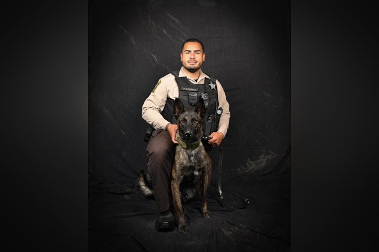 Cabarrus County Sheriff's Office Welcomes New K-9 Member Fuego to Enhance Law Enforcement Team