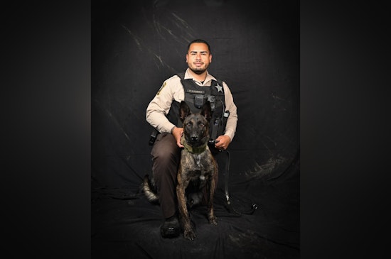 Cabarrus County Sheriff's Office Welcomes New K-9 Member Fuego to Enhance Law Enforcement Team