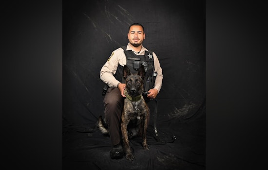 Cabarrus County Sheriff's Office Welcomes New K-9 Member Fuego to Enhance Law Enforcement Team