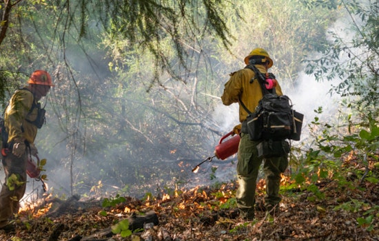 California Introduces 25-Point Plan to Combat Wildfires, Invests Billions in Resilience Efforts