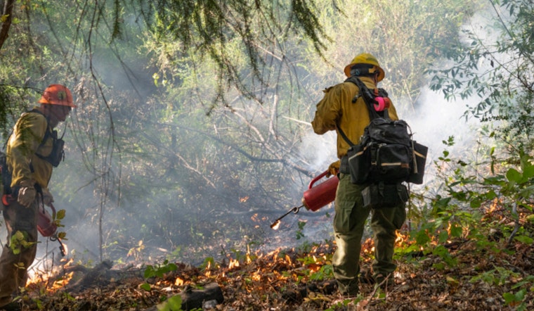 California Introduces 25-Point Plan to Combat Wildfires, Invests