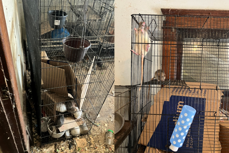 Canton Man Charged Amidst Discovery of Suspected Human Remains and Animal Neglect at Stark County Home