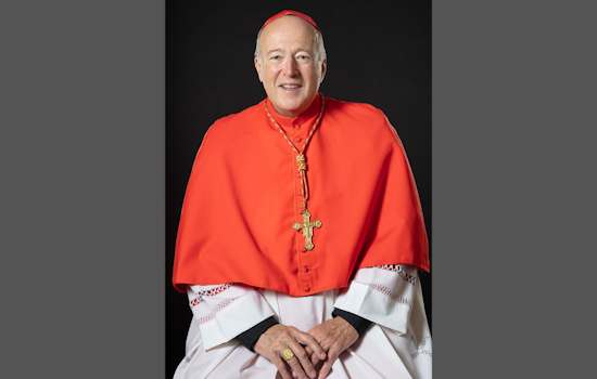 Cardinal Robert McElroy Installed as Archbishop of Washington, Advocates for Unity and Compassion